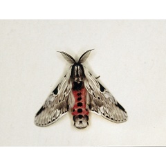 /filer/webapps/moths/media/images/E/exacta_Fentonina_A_Roland_04.jpg