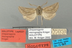 Drepanogynis micrographa