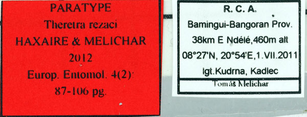 /filer/webapps/moths/media/images/R/rezaci_Theretra_PT_Basquinl.jpg